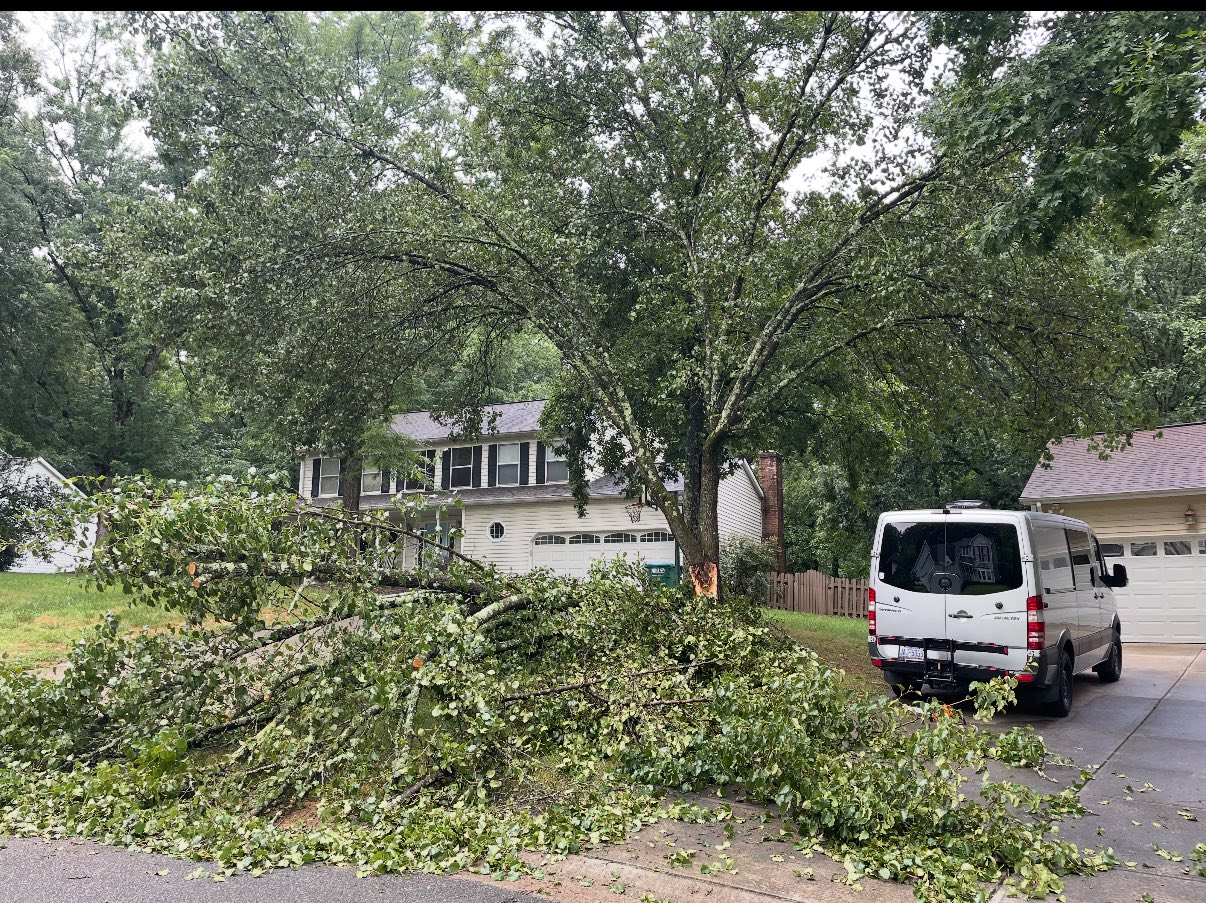 Storm debris and yard waste removal